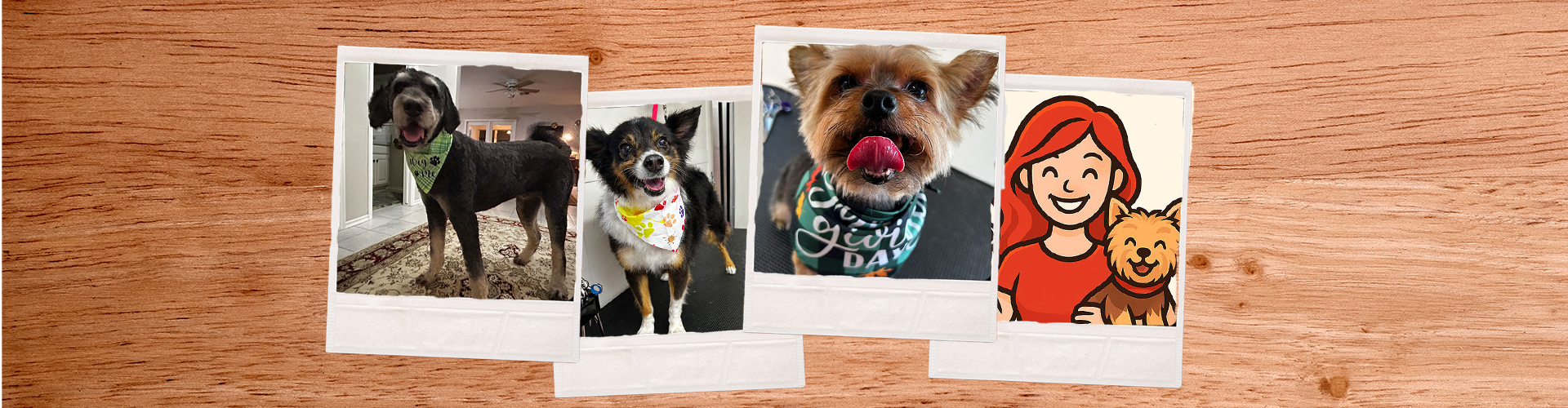 Services of Ginger Snips LLC in Edmond, OK